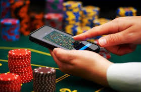 Вход на официальный сайт Pelican Casino